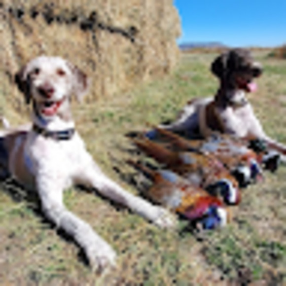 Meet your Posher, Brenda - Picture 1 of 1